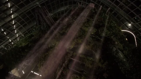 Cloud Forest Waterfall Gardens By The Bay Singapore at Night Stock Footage 109535212