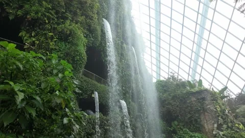 Cloud Forest waterfall in Singapore Stock Footage 304601695