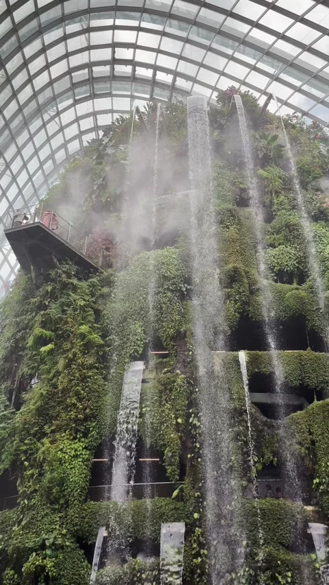 Cloud forest waterfall in Singapore Video stock 305006005
