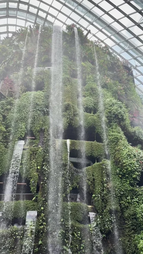 Cloud forest waterfall, Singapore Stock Footage 305006141