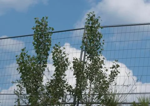 Cloud formation in the sky Stock Photos