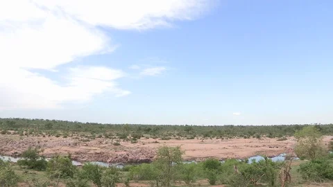 Cloud formation time-lapse over savanna landscape. Stock Footage 71081414