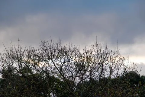 Cloud formations after a stormy night Stock Photos