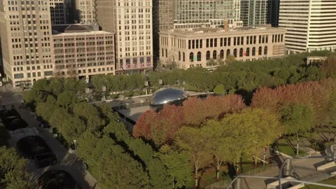 Cloud Gate 1 Stock Footage 166129223