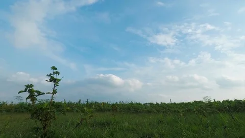 Cloud goes different way	 Stock Footage 123043804