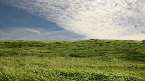 Cloud grass lawn summer 1 Stock Footage 11438141