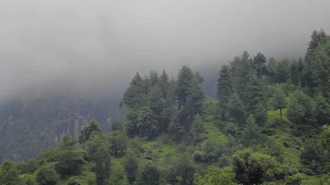 Cloud on the green forest on the hill Stock Footage 94552923