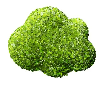 Cloud icon from the green grass. Isolated Foto stock