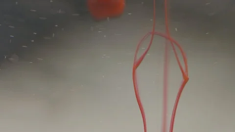 Cloud Of INK Dropping In Water - 4K LOG Stock Footage 123799022