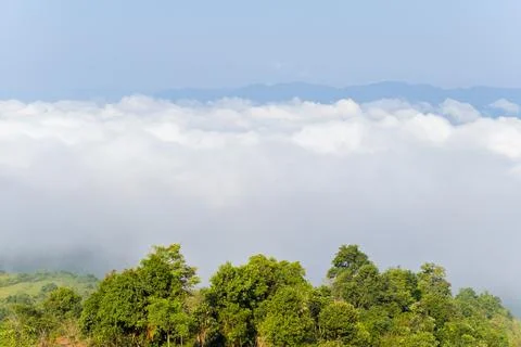 Cloud inversion above green forest, Dien Bien Stock Photos