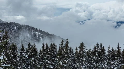 Cloud Inversion and Pine Trees Whistler Ski Resort Timelapse Stock Footage 149960637
