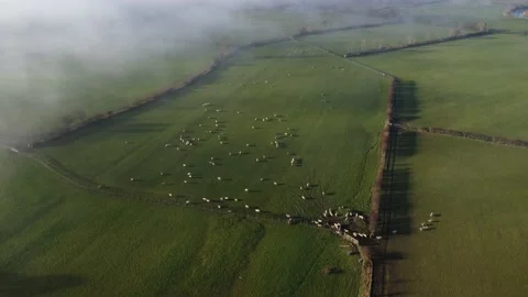 Cloud Inversion, Lake District Stock Footage 214733638