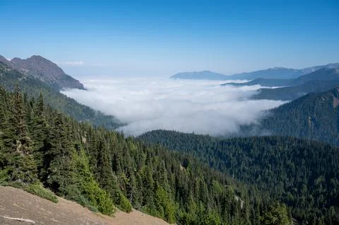 Cloud inversion in Olympic National Park, Washington. Stock Photos