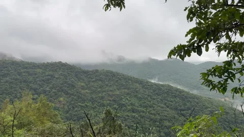 Cloud inversion in one of the valleys of Western Ghats of India. Stock Footage 337227767