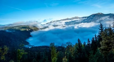 Cloud Inversion Over Zugspitze Alpine Forest View Stock Photos