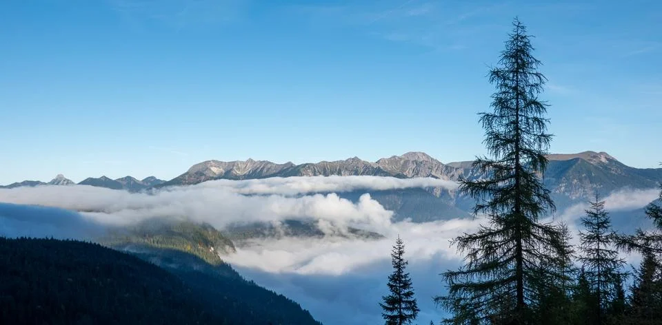 Cloud Inversion Over Zugspitze Alpine Forest View Stock Photos