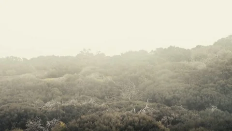 Cloud inversion passing over arid landscape Stock Footage 334975297