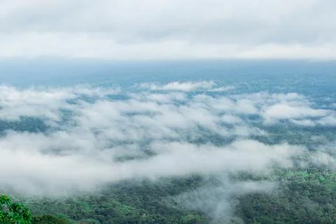 .Cloud landscape floating above the forest Stock Photos