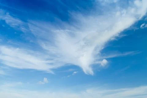 Cloud looks like a phoenix bird. Stock Photos