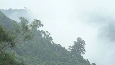 Cloud misty on a mountain Stock Footage 89677292