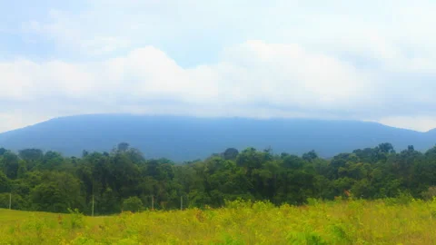 Cloud, mountain and forest Stock Footage 288494156