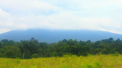 Cloud, Mountain and forest Stock Footage 289762880