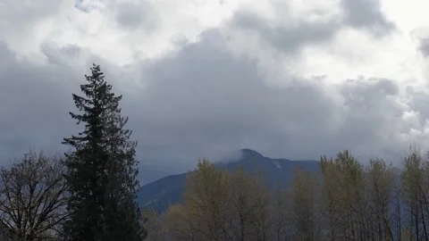 Cloud Mountain Time Lapse with blowing trees Vancouver BC Stock Footage 233048110