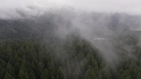 Cloud In The Mountains From The Sky Video stock 246738494