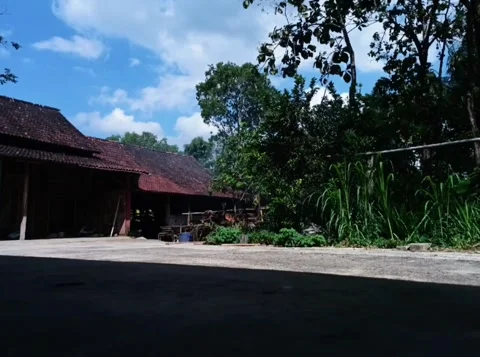 Cloud movement Stock Footage 241217848