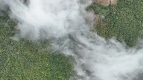 Cloud Movement Over Lush Green Forest and Rural Landscape from Aerial View Stock Footage 341975912