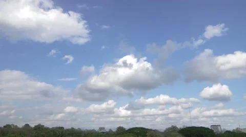 Cloud movement over the tree canopy Stock Footage 47733166