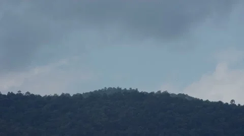 Cloud movement on the tropical rain forest Stock Footage 47732913