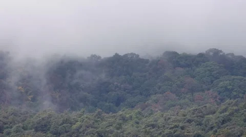 Cloud movement on the tropical rain forest Stock Footage 47732919