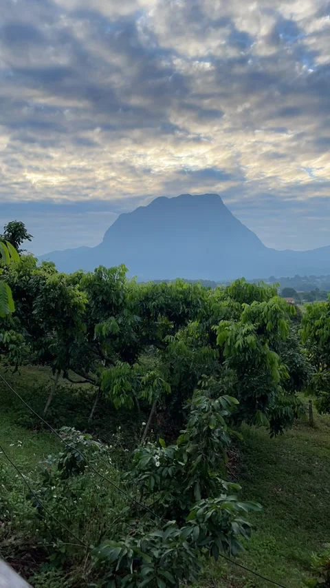 Cloud moving in time-lapse footage. Stock Footage 219982064