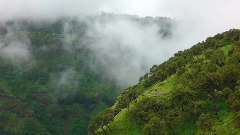 Cloud nearing forest cliffs, Ethiopia 스톡 동영상 138892296