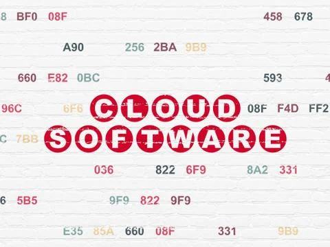 Cloud networking concept: Cloud Software on wall background Stock Illustration