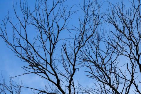 A cloud over blue sky as a background. 스톡 사진