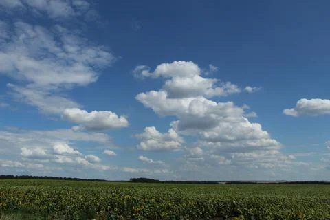 Cloud over the field Stock Photos