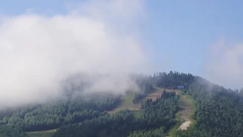 Cloud over forest Mount Stock Footage 95646069