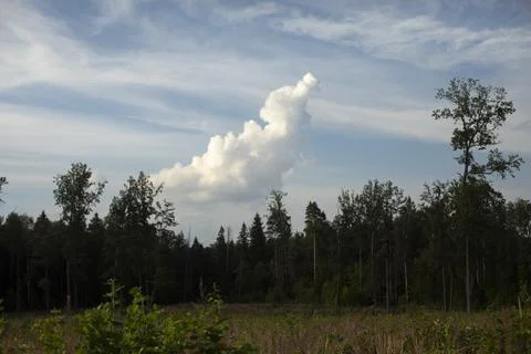 Cloud over forest. Summer landscape. Beautiful nature. Foto stock