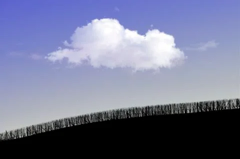 Cloud over vineyard Stock Photos