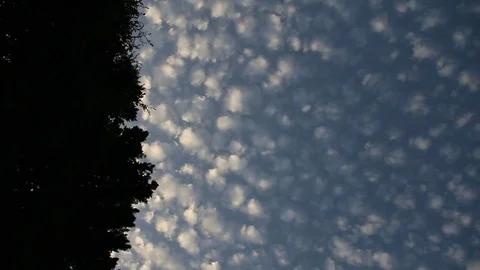 Cloud patterns and trees Stock Footage 78716181