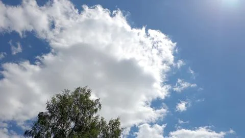 Cloud Patterns Float High in the Bright Blue Sky During the Day Near a Tree Fotos Stock