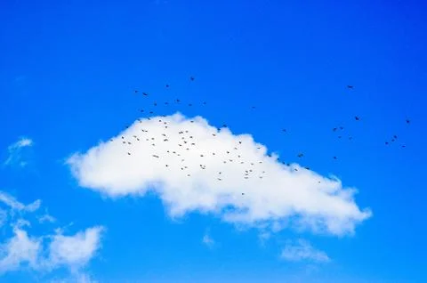 Cloud Stock Photos