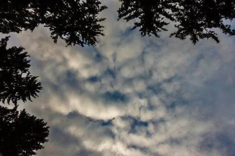 Cloud Stock Photos