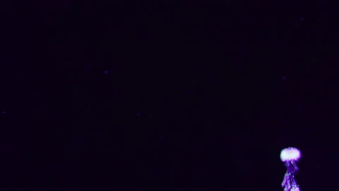 A cloud of pink and blue particles moving on black background. Видео 134572442
