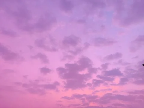 Cloud pink Stock Photos