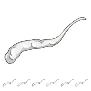 Cloud plane smoke trail cartoon vector graphic Stock Illustration