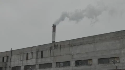 Cloud Plant Stock Footage 176389544