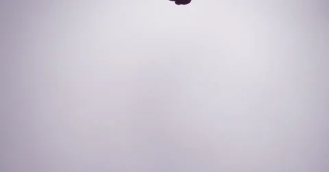 A cloud of red ink from top of frame slowly plumes in clear liquid. Isolated. Stock Footage 64103309